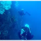 アトリエラウト