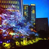 紀伊和歌山藩徳川家屋敷跡