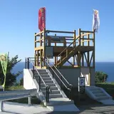 ゾウゾウ鼻