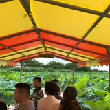 城沼の渡し舟
