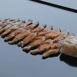 魚治