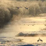 音羽橋