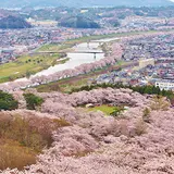 白石川堤一目千本桜