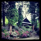 徳栄山妙法寺