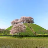 さきたま古墳公園