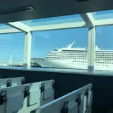 シーバス
