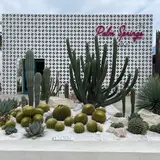 Palm Springs Cafe