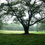 美しが丘公園
