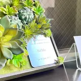 Restaurant NéMo