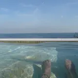 島の湯