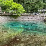 別府弁天池