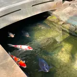 殿町通り