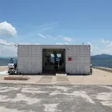 ダイコン