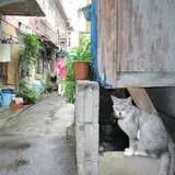 別府市街地の路地