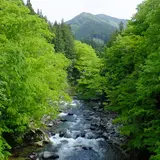吉田川