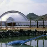 笠岡市立カブトガニ博物館        