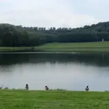 ピエース・ドー・デ・スイス