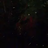 ホテル椿山荘東京