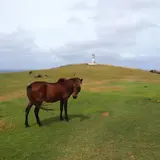 東崎