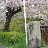 白川疏水通り