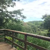 生田緑地公園