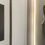 アズディン・アライアギャラリー