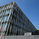 le19M