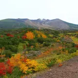 十勝岳望岳台
