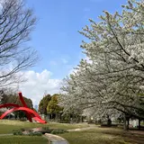 滝の広場