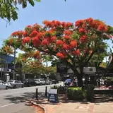 Racecourse Rd