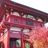 智源寺