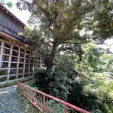 舟廊下