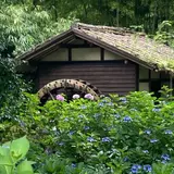 府中 郷土の森