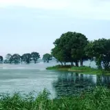 湖北野鳥センター