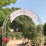 RSKバラ園