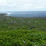 高那崎