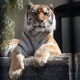 京都市動物園 もうじゅうワールド
