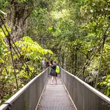 Mossman River Lookout