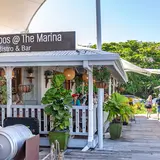 Choo Choos at the Marina