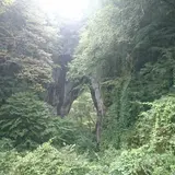 羅生門