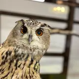 掛川花鳥園