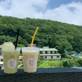 かぜの杜 まど花