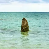 ヤハラヅカサ