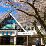 清滝駅