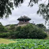 訪花隋柳亭