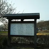 海石榴市