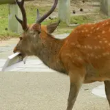 貴方は狙われています