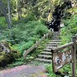 牛の鼻づら