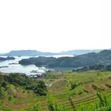 大浦棚田