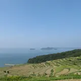 土谷棚田